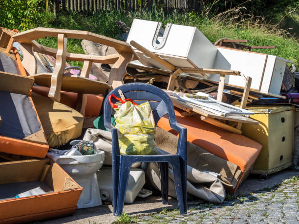 Best Electronics Removal Services  in Pierce, CO